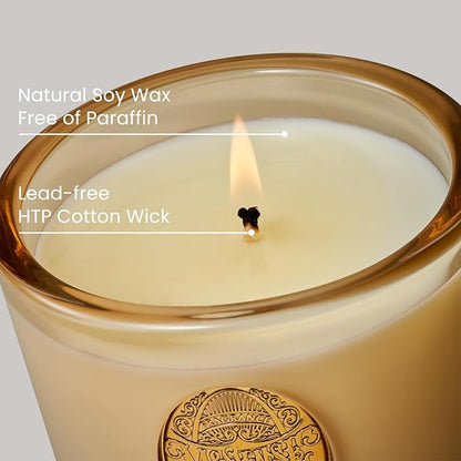 M&SENSE Natural Soy Candle | Cheer Champagne & Gold | 9.2 oz, 50H Burn Time | Luxury Scented Candle for Relaxation, Gifting, Home Décor | Ideal for Bedroom, Office, Party Ambiance