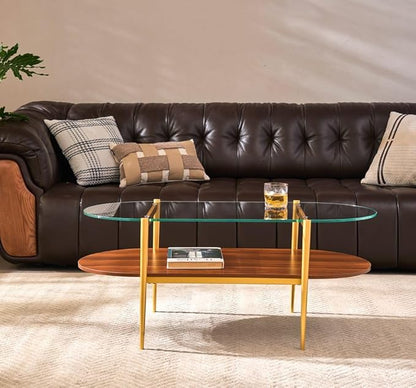 AGV LIGHTING Oval Rectangle Coffee Table with Clear Glass Top, Mid-Century Modern Coffee Table, Walnut MDF Shelf and Glod Metal Legs, Capsule Shape 2 Tier Coffee Table for Living Room, 42 Inch