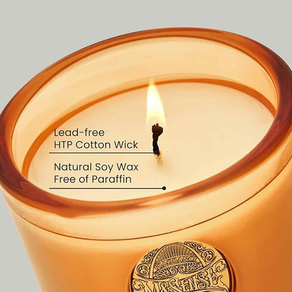 M&SENSE Natural Soy Candle | Basil Ginger & Orange | 9.2 oz, 50H Burn Time | Luxury Scented Candle for Relaxation, Gifting, Home Décor | Ideal for Bedroom, Office, Party Ambiance