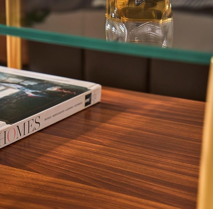 AGV LIGHTING Oval Rectangle Coffee Table with Clear Glass Top, Mid-Century Modern Coffee Table, Walnut MDF Shelf and Glod Metal Legs, Capsule Shape 2 Tier Coffee Table for Living Room, 42 Inch