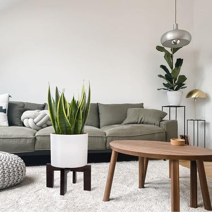 Gendral Forwepup Plant Stand Indoor Outdoor, Mid Century Plant Stand for Indoor Plants, Wood Modern Plant Holder Rattan Flower Plant stool, Low Short Boho Rustic Planter Stand, Fit 5-15 Inch Pot…