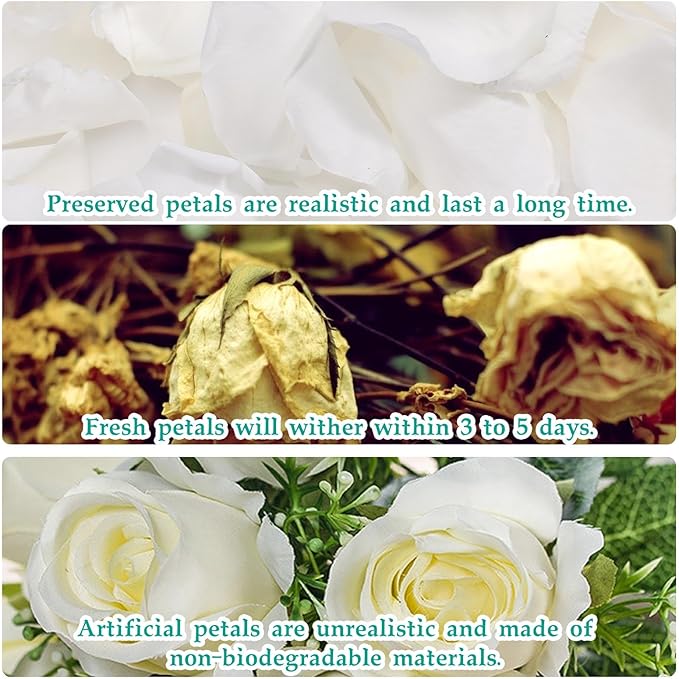 Dried Real Rose Petals, Natural Preserved Dry Flower Petals for Wedding Party Dinner Table Decor, Romantic Night for Her Set, Engagement, Bridal Shower, Valentine's Day, Confetti (3oz, White)