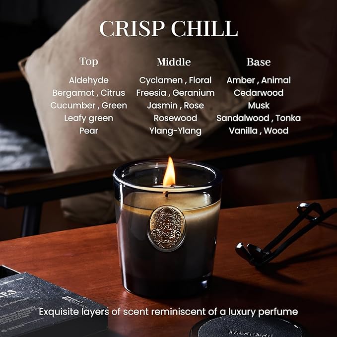 M&SENSE Natural Soy Candle | Crisp Chill & Black | 9.2 oz, 50H Burn Time | Luxury Scented Candle for Him,for Relaxation, Gifting, Home Décor | Ideal for Bedroom, Office, Party Ambiance