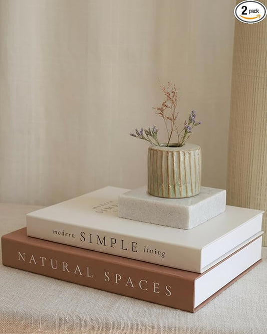 Beautiful Decorative Books - Set of 2 Boxes Enhance Your Table, Bookshelf or Mantel Shelf Decor - Aesthetic Fake/Faux Books for Modern Home Decoration, Photo Storage and as a Keepsake Box