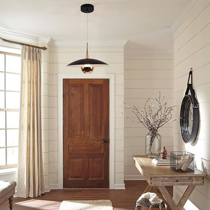 Modern Black Pendant Lighting Fixture Mini Metal Ceiling Light Adjustable Modern Hanging Lamp for Kitchen Bedroom Living Room