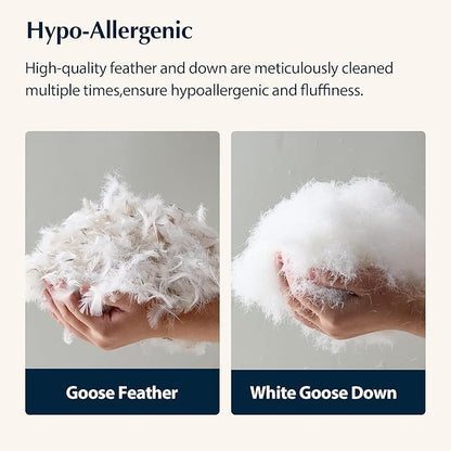 Pacific Coast Feather and Down Bed Pillows Standard Size Set of 2, Goose Feather and Down Hotel Pillow for Sleeping, Downproof, 3-Chamber, Medium Supportive, 100% Cotton Shell