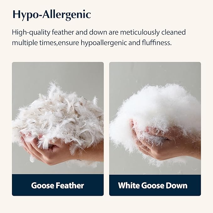 Pacific Coast Bed Pillows for Side and Back Sleepers, Feather and Down Hotel Pillows with 100% Cotton Shell, Medium Supportive, Downproof, King Size 2 Pack