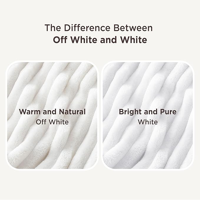 Bedsure GentleSoft Blankets Queen Size for Bed - Cozy Soft Blankets for Women, Cute Large Bedding Fleece Throws for Girls, Off White, 90x90 Inches