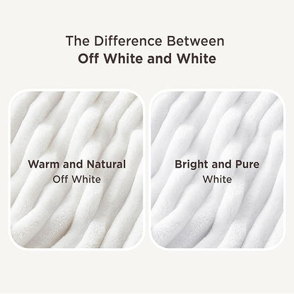 Bedsure GentleSoft Blankets Queen Size for Bed - Cozy Soft Blankets for Women, Cute Large Bedding Fleece Throws for Girls, Off White, 90x90 Inches