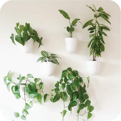 PlantPod Luxe - Self-Watering Wall Planters (Set of 6) - Easy to Water and Install - Lightweight - Design Your Own Vertical Garden - Wall Planters for Indoor Plants