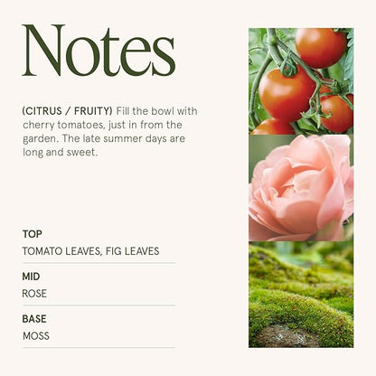 LA JOLIE MUSE Tomato & Vine Candle - Tomato Leaf, Rose, Moss | 6 oz Natural Soy Wax | 40 Hours Clean Burn | Fresh Garden Scented Candle | Gift-Ready for Hosts & Gatherings