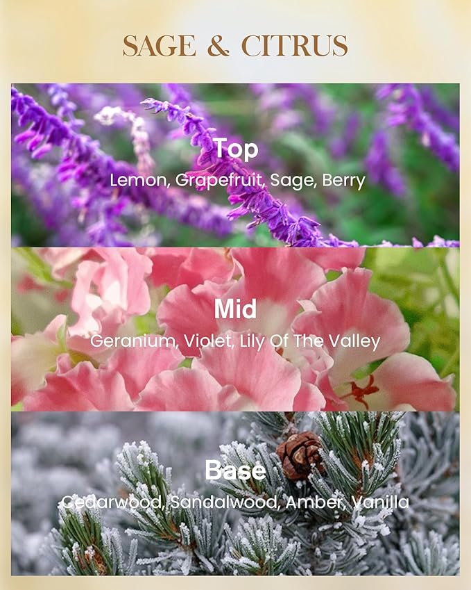 M&SENSE Sage Citrus Scented Natural Soy Wax Candle, 14.1oz 60 Hours Long Lasting Slow Burning, Aromatherapy Fall Winter Candle for Stress Relief, Festival Thanksgiving Christmas Housewarming Gifts