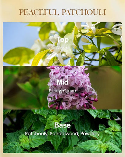 M&SENSE Peaceful Patchouli Scented Candle 35oz 150H Burn Time Long Lasting, 3-Wick Natural Aromatherapy Fall Winter Candle, Home Fragrance Housewarming Festival Gifts