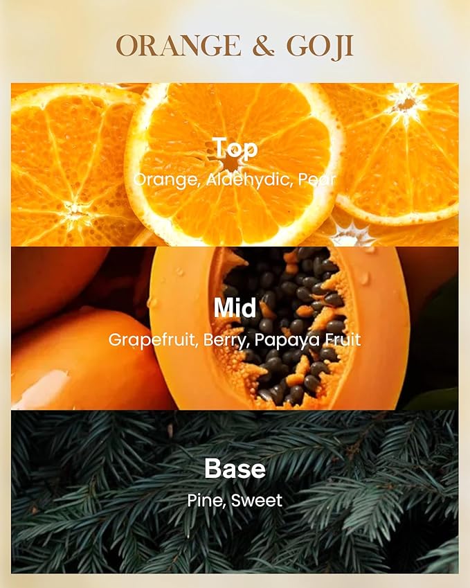 M&SENSE Orange Goji Scented Natural Soy Wax Candle, 14.1oz 60 Hours Long Lasting Slow Burning, Aromatherapy Fall Winter Candle for Stress Relief Home Decor