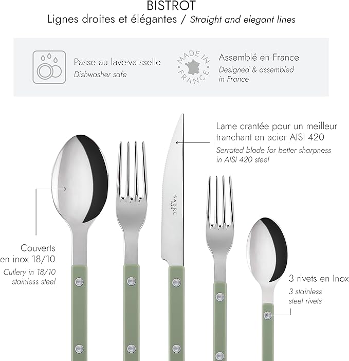 5-Piece Flatware Set - Bistrot Collection - Knife, Fork, Soup Spoon, Teaspoon & Dessert Fork - Stainless Steel & Nylon - Dishwasher Safe - Asparagus - Brilliant Finish