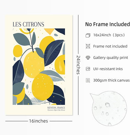 Fruit Market Wall Art Decor Kitchen Lemon Pictures Wall Art Fruit Botanical Prints Poster Orange Green Canvas Kitchen Artwork for Dining Room 16x24 Inch Unframed Set of 3