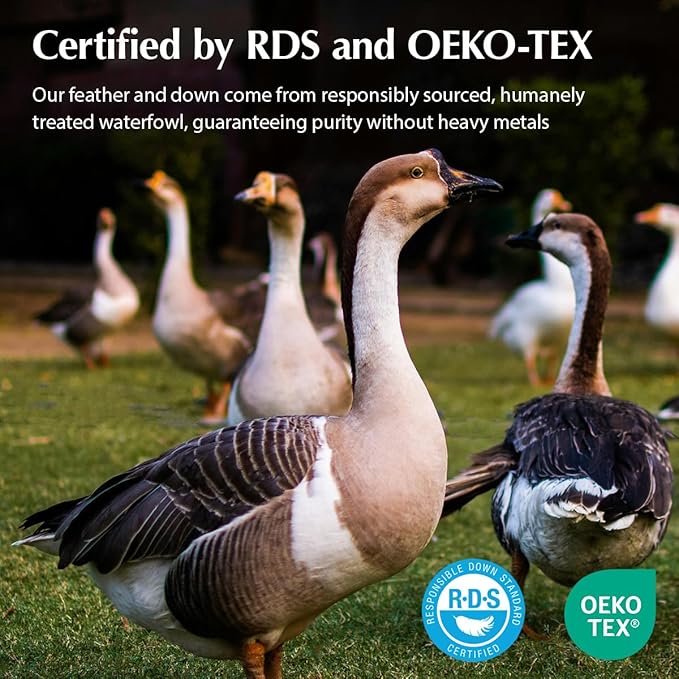 Pacific Coast Firm Bed Pillow, Luxury Hotel Collection Goose Feather and Down Pillow for Sleeping, Standard Size with Gusset Design, Oeko-TEX Certified, Supportive for Side and Back Sleepers