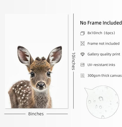 Nursery Animal Wall Art Pictures Baby Safari Canvas Wall Decor Jungle Woodland Wall Art Cute Animal Prints Paintings Nursery Kids Posters for Boys Girls Room Bedroom 8x10 Inch Unframed Set of 6