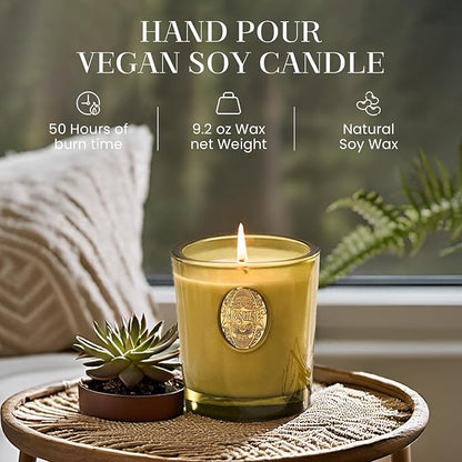 M&SENSE Natural Strong Soy Candle | Sandalwood Jasmine & Green | 9.2 oz, 50H Burn Time | Luxury Candle for Relaxation, Gifting, Home Décor | Ideal for Bedroom, Office, Party Ambiance