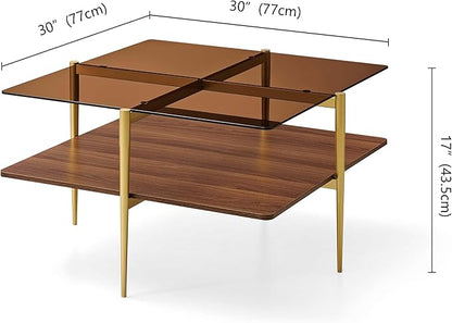 Square Coffee Table, Mid-Century Modern Design, L30 x W30 x H17 Inch, for Living Room, 2-Tier Structure, Amber Glass Top and Walnut Wood Shelf, Sleek Conical Metal Legs with Gold Finish