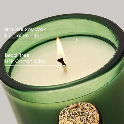 M&SENSE Natural Soy Candle | Evergreen Pine & Emerald Green | 9.2 oz, 50H Burn Time | Luxury Scented Candle for Relaxation, Gifting, Home Décor | Ideal for Bedroom, Office, Party Ambiance
