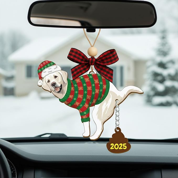 Funny Christmas Ornaments 2025, Dog Ornaments, Unique Hilarious Christmas Decorations, Funny Christmas Ornaments, White Elephant Gifts
