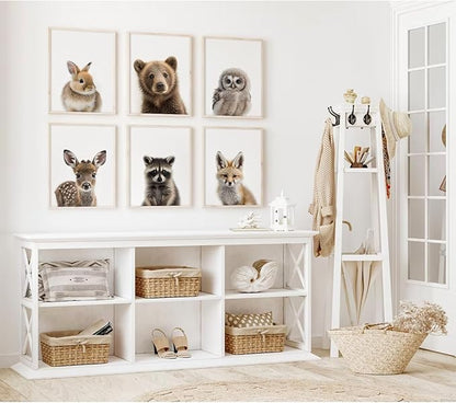 Nursery Animal Wall Art Pictures Baby Safari Canvas Wall Decor Jungle Woodland Wall Art Cute Animal Prints Paintings Nursery Kids Posters for Boys Girls Room Bedroom 12x16 Inch Unframed Set of 6