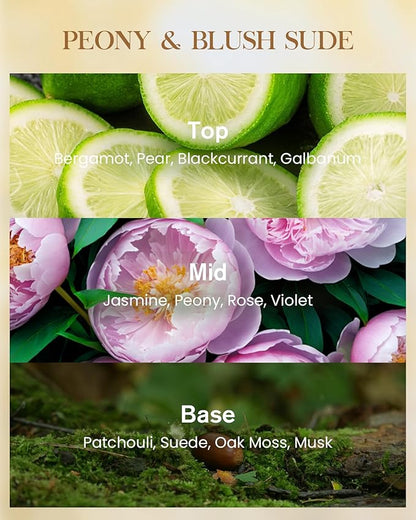 M&SENSE Large Soy Scented Candles Peony & Blush Sude, Non Toxic Natural Spring Candles 35oz 150 Hours Long Lasting Slow Burning, Unique Candle Gifts Cozy Room Decor for Women Men