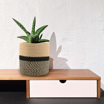 Woven Cotton Rope Plant Basket for 11" Flower Pot Floor Indoor Planters,Storage Organizer Basket Rustic Home Decor (11" x 11",Black and Brown Stripes)