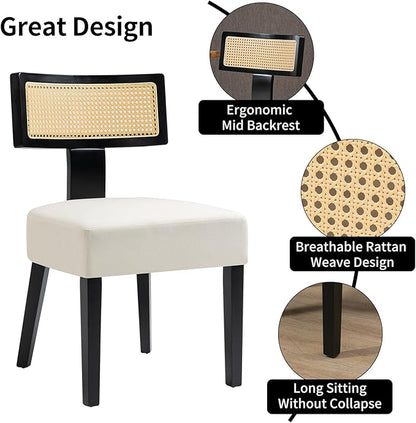 Rattan Dining Chairs Set of 4, Mid-Century Modern Fabric Upholstered Dining Room Chairs with Black Hardwood Frame, Curved Backrest Kitchen Chair Armless for Dining Room (Cream)