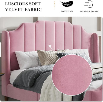 SHA CERLIN Upholstered Queen Size Bed Frame with Modern Curved Velvet Wingback Headboard, Heavy Duty Wood Platform Bed with Strong Wood Slat Support, No Box Spring Needed, Pink