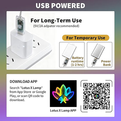 Color Changing Wishing Ball Curtain Lights, 9.8 x 3.3 FT RGB LED Fairy Light with Remote App Control, Music Sync Window Backdrop Wall Hanging Lights for Bedroom Party Halloween Christmas Decoration