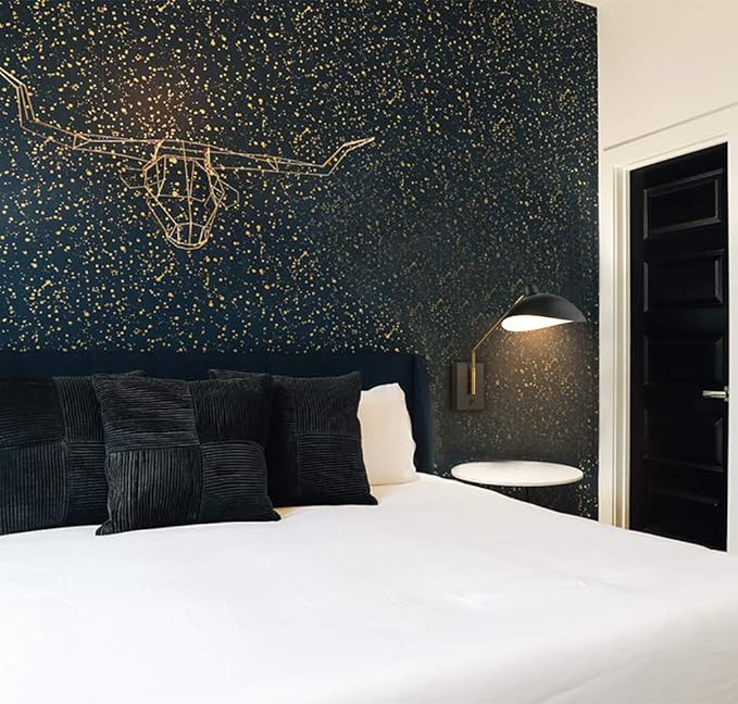 CLAXY Plug in Wall Sconce Swing Arm Wall Light Matte Black with USB Charge Port-Set of 2, Plug in or Hardwired Wall Mounted Lights for Bedroom Reading Room Living