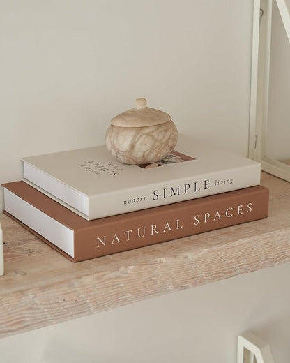 Beautiful Decorative Books - Set of 2 Boxes Enhance Your Table, Bookshelf or Mantel Shelf Decor - Aesthetic Fake/Faux Books for Modern Home Decoration, Photo Storage and as a Keepsake Box