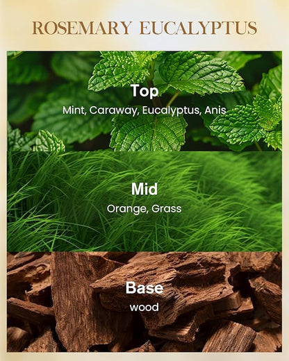 M&SENSE Rosemary Eucalyptus Scented Candle Home Decor, Natural Soy Wax,14.1oz 60 Hours Long Lasting Slow Burning, Aromatherapy Fall Winter Candle for Stress Relief