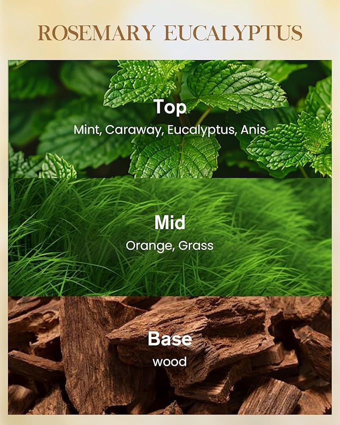 M&SENSE Rosemary Eucalyptus Scented Candle 35oz 150H Burn Time Long Lasting, 3-Wick Natural Aromatherapy Fall Winter Candle Highly Scented, Home Fragrance Housewarming Festival Gifts