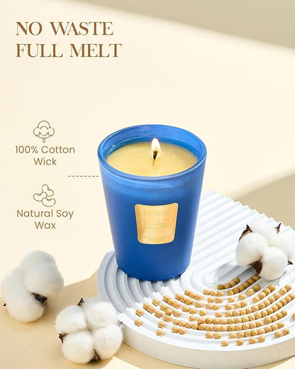 M&SENSE Peaceful Patchouli Scented Natural Soy Wax Candle, 14.1oz 60 Hours Long Lasting Slow Burning, Aromatherapy Fall Winter Candle for Stress Relief Festival Gifts for Home Decor