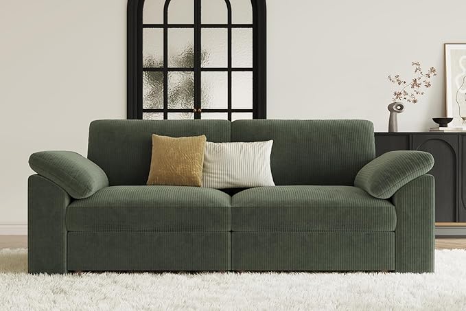 EASE MOOSE Modern Loveseat Sofa for Living Room, Comfty 2 Seat Solid Wood Frame Sofa, FSC Certified Modern Deep Seat Couch, Removable Cover