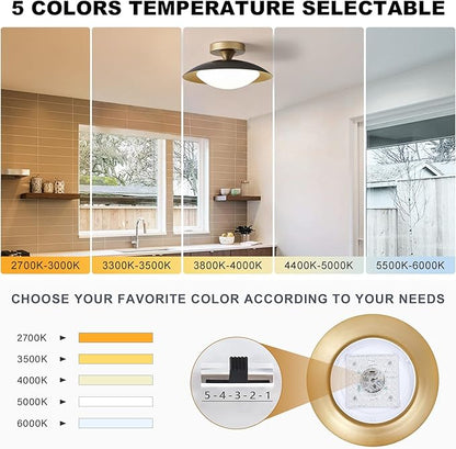 Dimmable Small Mid Century Modern Flush Mount Ceiling Light with Acrylic Shade,Black and Gold LED Ceiling Lights,5CCT 2700K-6000K Light Fxiture for Hallway Entryway Bedroom Kitchen Laundry Room 11.8in