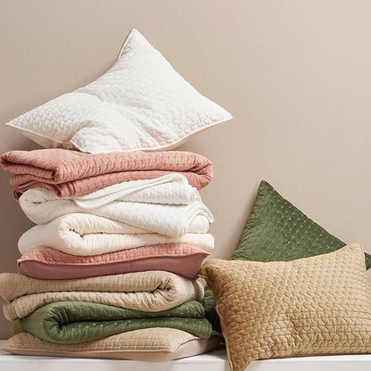 EVERGRACE Luxury Velvet Quilt Set Queen Size 3 Piece, Soft Cross-Stitch Velvet Comforter Set with Pillow Shams, Lightweight Coverlet Bedspread for All Seasons, Bright White