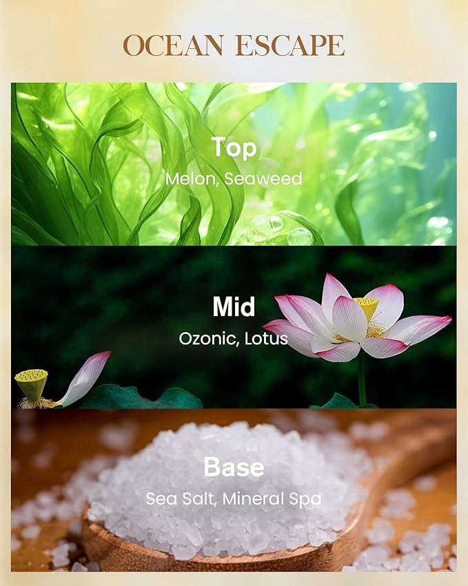 M&SENSE Ocean Escape Scented Natural Soy Wax Candle, 14.1oz 60 Hours Long Lasting Slow Burning Candles for Home Decor, Aromatherapy Candle for Stress Relief