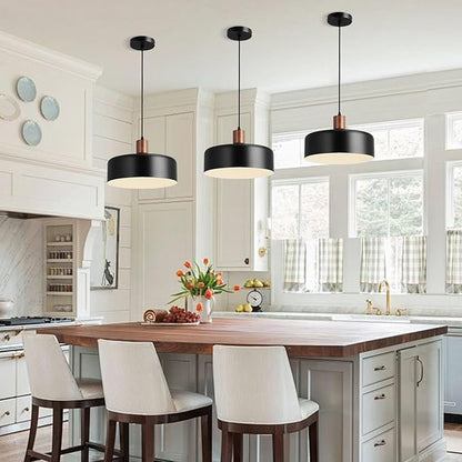 Eustace 13.8 inch Large Pendant Light, Adjustable Metal Chandelier with Solid Wood and Brass Accent, Modern Hanging Light Fixtures for Kitchen Island, Bar, Dining Room, Bedroom, Living Room