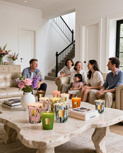 M&SENSE Sage Citrus Scented Natural Soy Wax Candle, 14.1oz 60 Hours Long Lasting Slow Burning, Aromatherapy Fall Winter Candle for Stress Relief, Festival Thanksgiving Christmas Housewarming Gifts