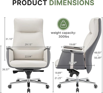 EUREKA ERGONOMIC Royal II Executive Office Chair High Back, Big and Tall with Extra Wide Seat, Silicone Leather Desk Chair Computer Chair, Modern Office Chair Home Desk Chairs - Beige Gray