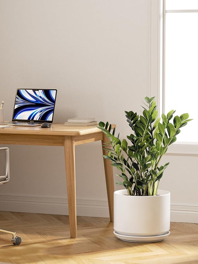 LE TAUCI 12 Inch Pots for Plants, Ceramic Plant Pots with Drainage Holes and Saucers, Elegant and Durable Large Plant Pot, Perfect for Home & Office Decor, White