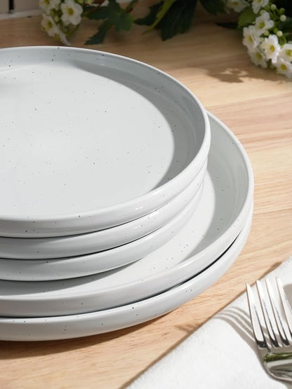 Famiware Dawn Dinnerware Sets, 18 Piece Dish Set with Speckled Design, Plates and Bowls Sets for 6, White