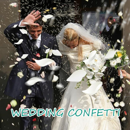 Dried Real Rose Petals, Natural Preserved Dry Flower Petals for Wedding Party Dinner Table Decor, Romantic Night for Her Set, Engagement, Bridal Shower, Valentine's Day, Confetti (3oz, White)