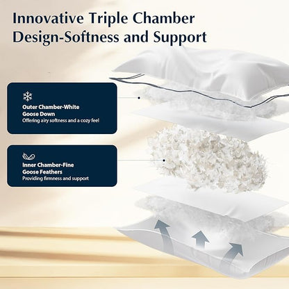 Pacific Coast Pillows Queen Size Set of 2, Goose Feather and Down Pillow for Sleeping, 3-Chamber Hotel Pillow for Side Sleepers and Back Sleepers