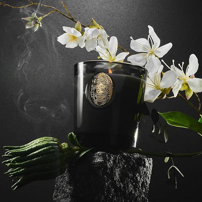 M&SENSE Natural Soy Candle | Crisp Chill & Black | 9.2 oz, 50H Burn Time | Luxury Scented Candle for Him,for Relaxation, Gifting, Home Décor | Ideal for Bedroom, Office, Party Ambiance