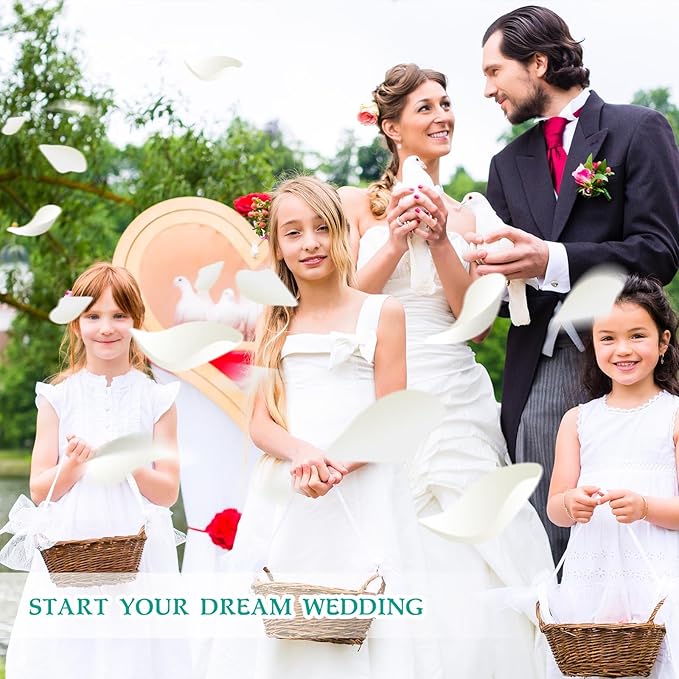 Dried Real Rose Petals, Natural Preserved Dry Flower Petals for Wedding Party Dinner Table Decor, Romantic Night for Her Set, Engagement, Bridal Shower, Valentine's Day, Confetti (3oz, White)